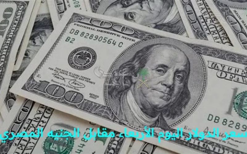 سعر الدولار اليوم الأربعاء مقابل الجنيه المصري في البنك المركزي يشهد استقرارًا نسبيًا